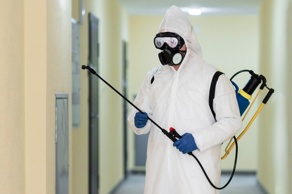 alt="Mold remediation services in Osceola county"