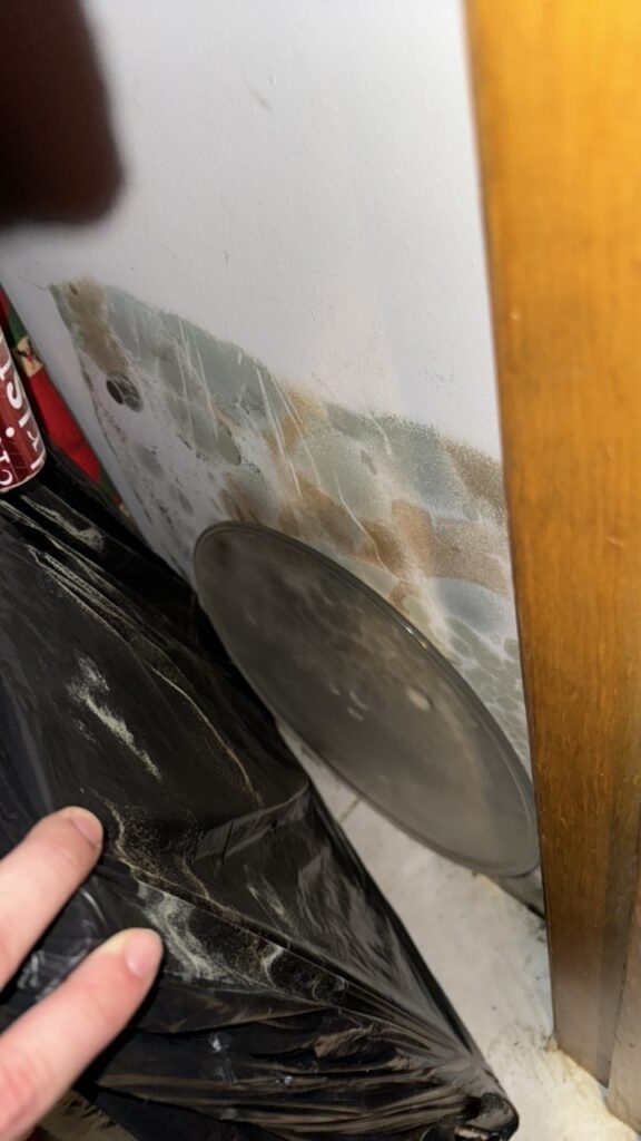 alt="mold technician job near Orlando"