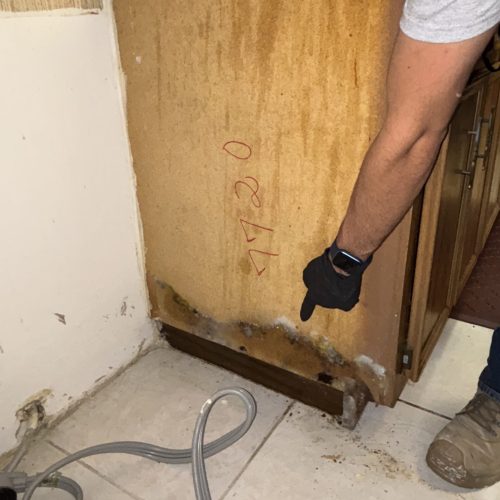 alt="Mold removal in Altamonte Springs"
